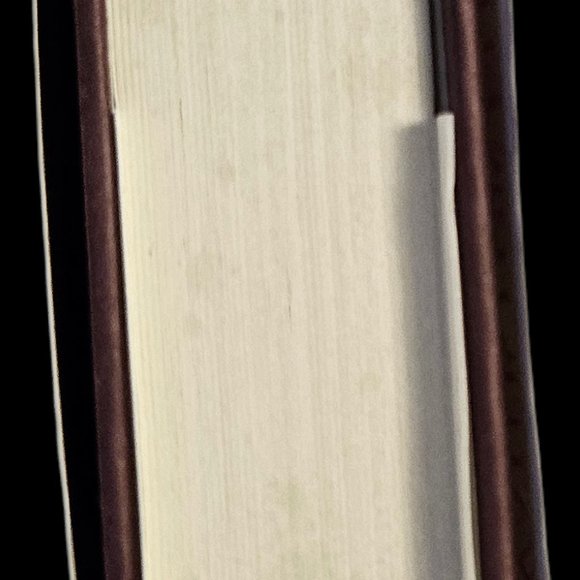 Water for Elephants - Picture 5 of 7